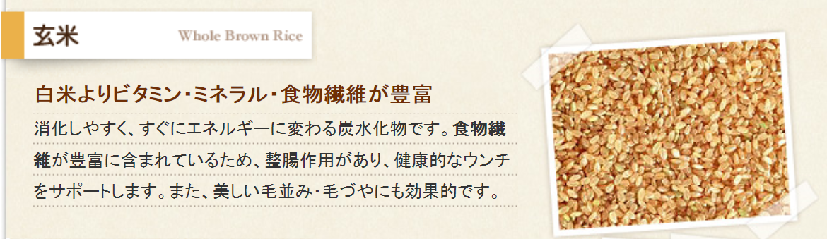 ナチュラルドッグフード 吐く