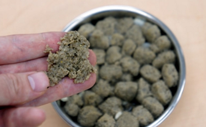 犬が下痢を起こしているならナチュラルドッグフードがおすすめ