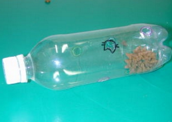 気をつけて!知らないと痛い目に合うナチュラルドッグフードの保存方法