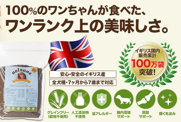 犬の関節炎に最も適したドッグフードのおすすめ