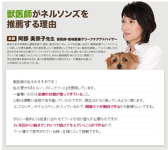 犬の関節炎に最も適したドッグフードのおすすめ