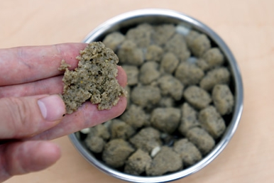 子犬が中々ドッグフードを食べない時の対処法