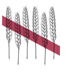 JiK hbOt[hƂ́HǂꂾDꂽSւH