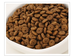 カナガンドッグフードは子犬に与えるな!?迷わない選び方