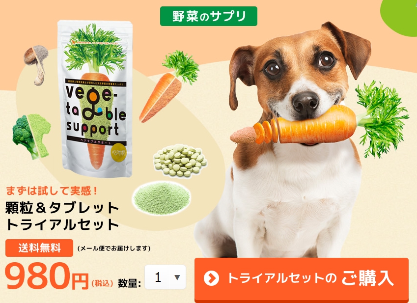 気をつけて!ベジタブルサポートの投与量を守って健康的な生活を