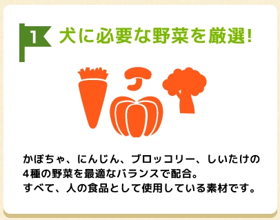 ベジタブルサポートの成分|原料には何が使われている?
