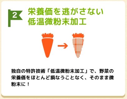 ベジタブルサポートの成分|原料には何が使われている?