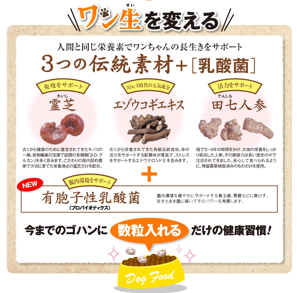 犬康食・ワンプレミアムとは