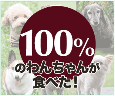 カナガンドッグフード