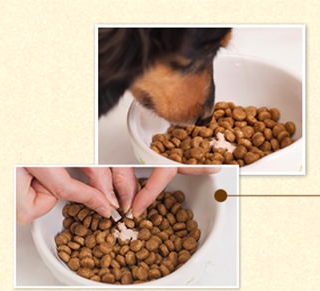 犬の口が臭い!効果的なサプリメントはペットシア