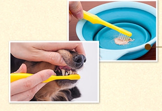 犬の口が臭い!効果的なサプリメントはペットシア