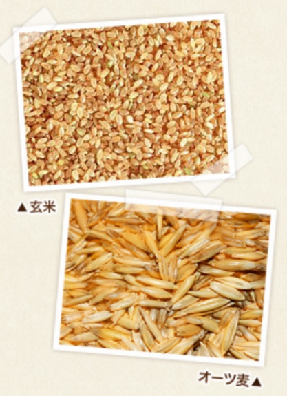 ナチュラルドッグフード