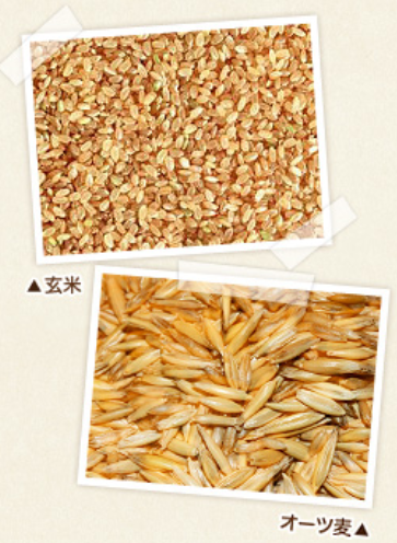 ndfナチュラルドッグフード