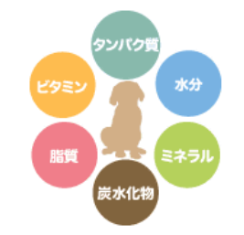 ndfナチュラルドッグフード