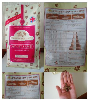 犬の腎臓におすすめのドッグフード